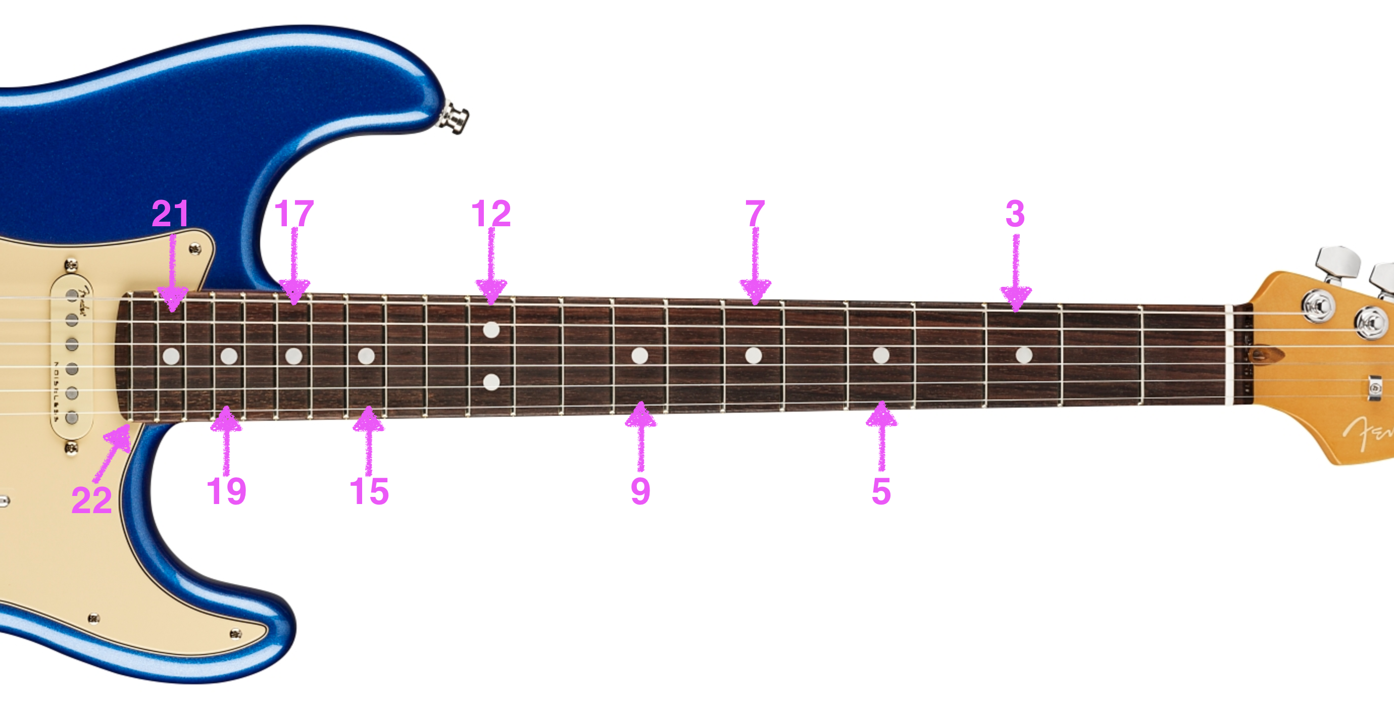 Fender（フェンダー）・ストラトキャスターの特徴とモデル選びについて 
